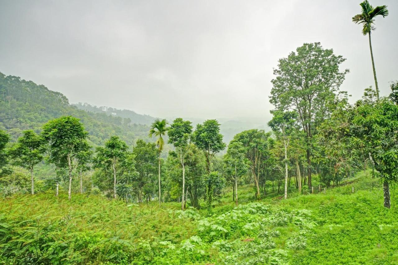 Hotel Oyo Flagship 81260 Star Lights Munnar Exteriér fotografie